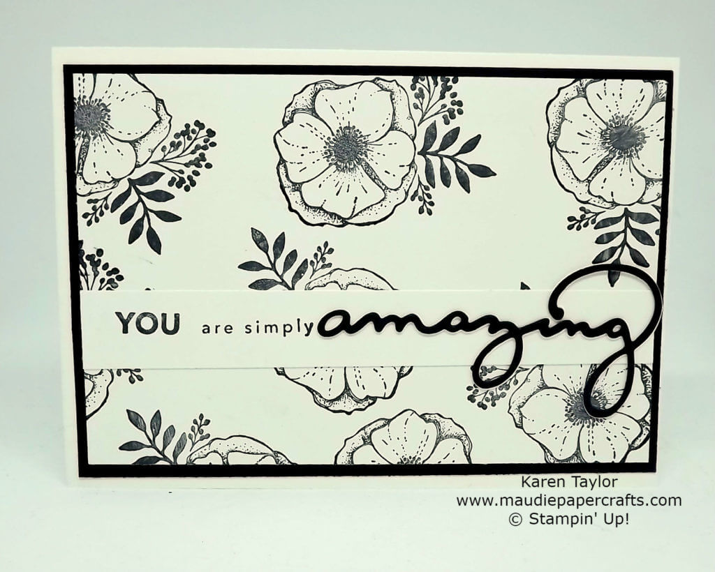 Stampin' Up! Amazing You 