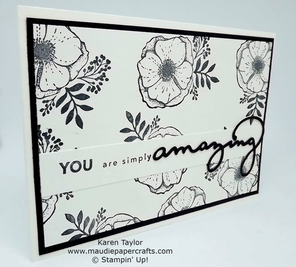 Stampin' Up! Amazing You 